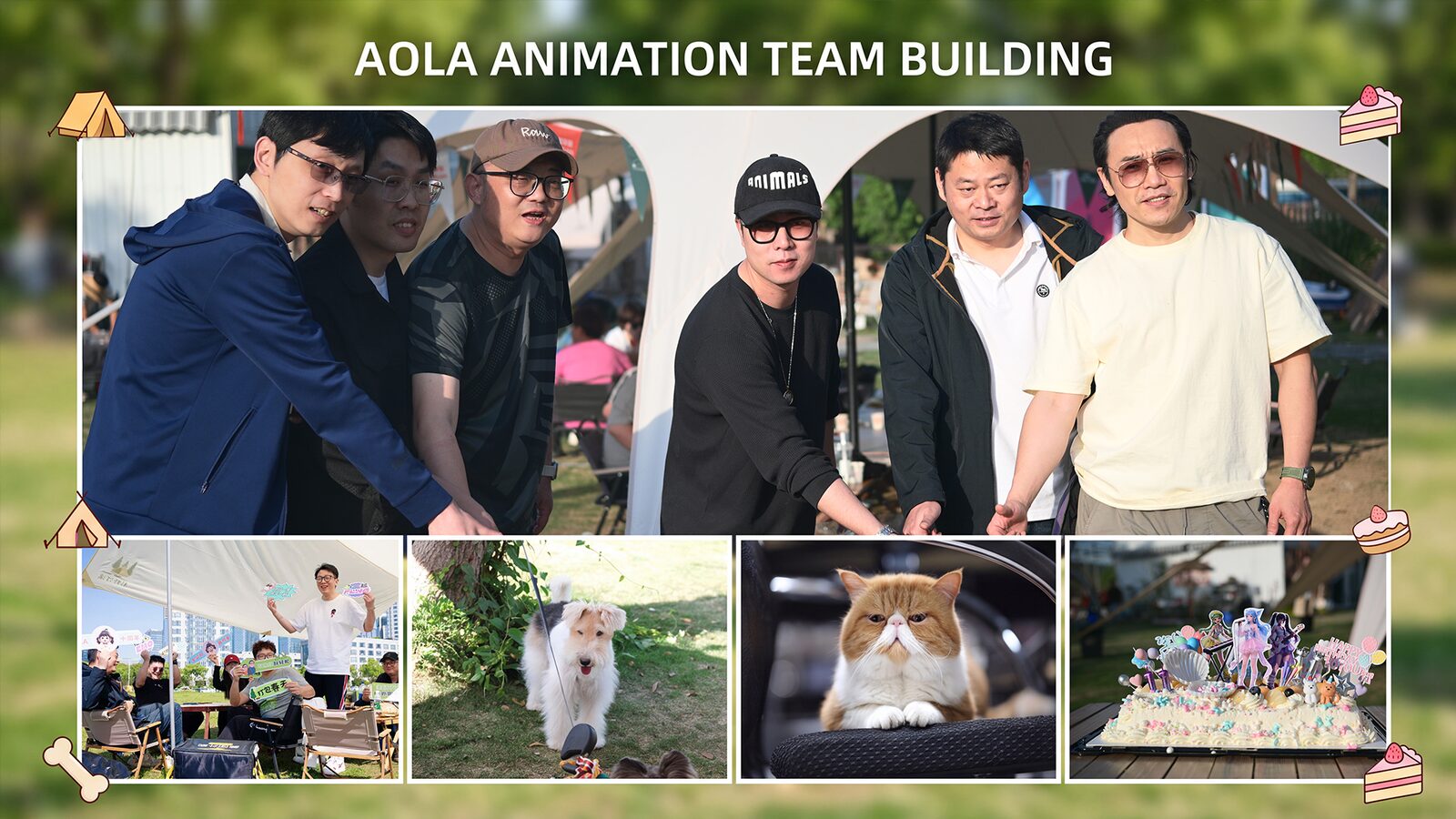 Aola team culture visual