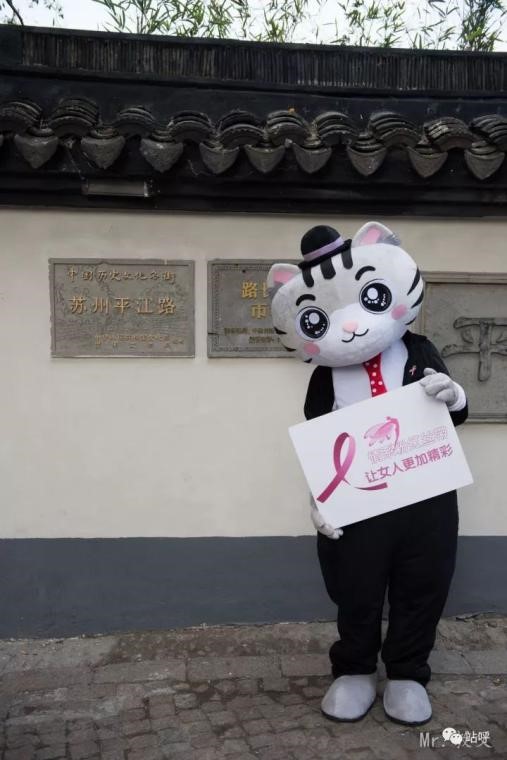 奥拉相约粉红丝带公益跑——关爱女性疾病，为爱起跑！(图5)
